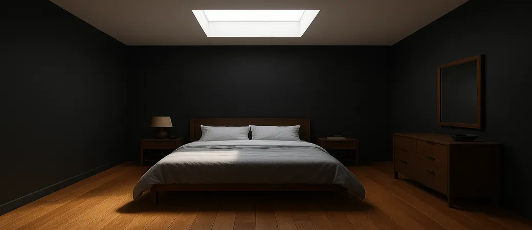 Light Where It Matters Rethinking Skylights for Wairarapa Lifestyle Blocks